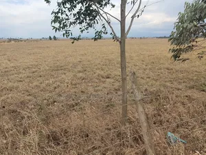 4 Acres in Narumoru