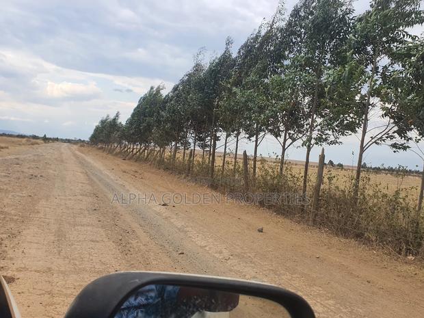 4 Acres in Narumoru - thumbnail 5
