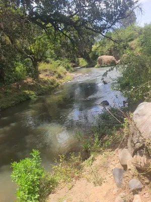 2 Acres in Nyariginu Fronting River