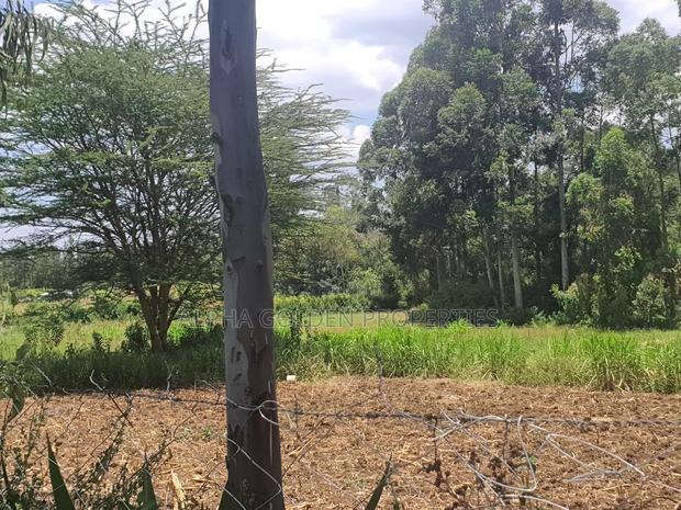 2 Acres in Nyariginu Fronting River - thumbnail 2