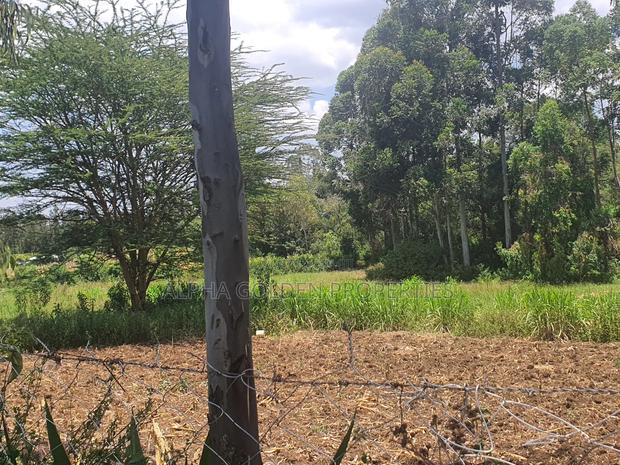 2 Acres in Nyariginu Fronting River - thumbnail 3