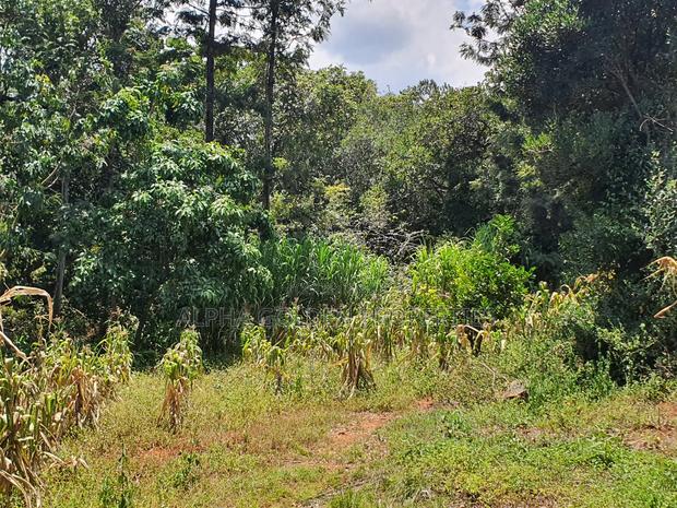2 Acres in Nyariginu Fronting River - thumbnail 4
