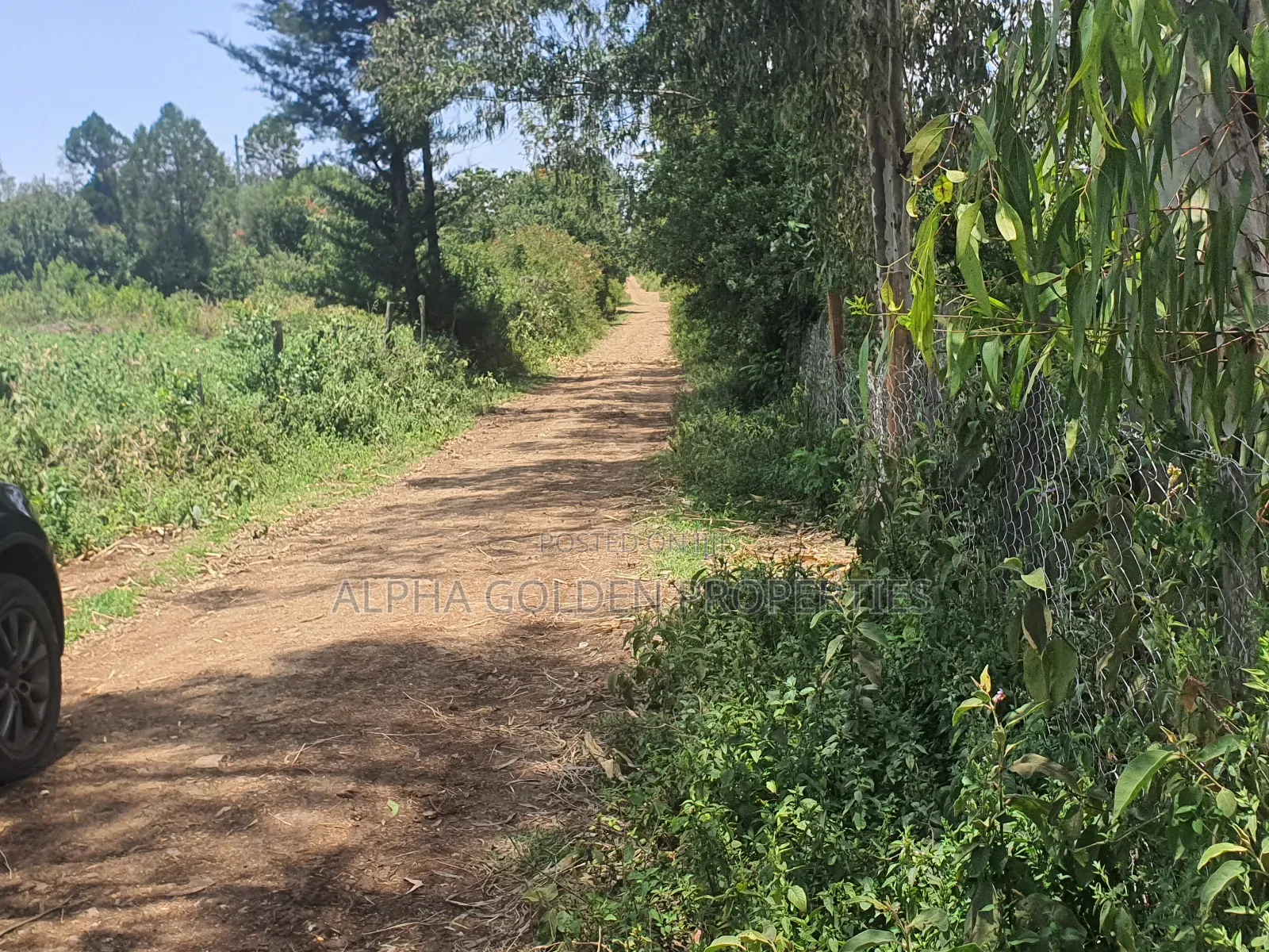 2 Acres in Nyariginu Fronting River