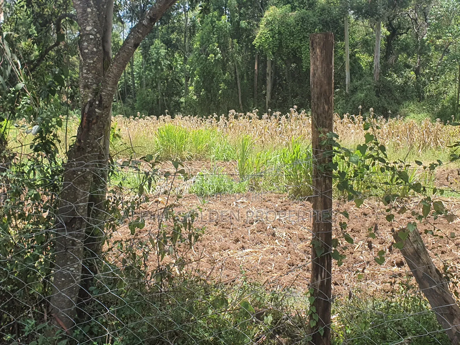 2 Acres in Nyariginu Fronting River