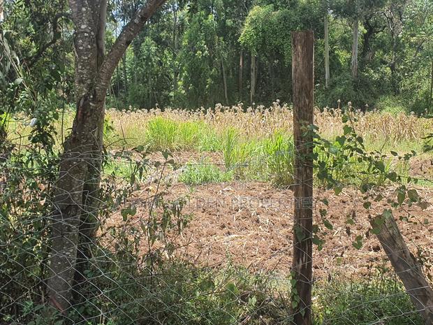 2 Acres in Nyariginu Fronting River - thumbnail 6