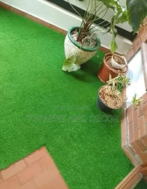Evergreen Synthetic Grass for Garden Beauty