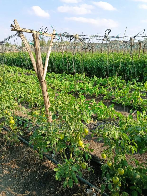 Plots for Sale in Kitengela Kajiado