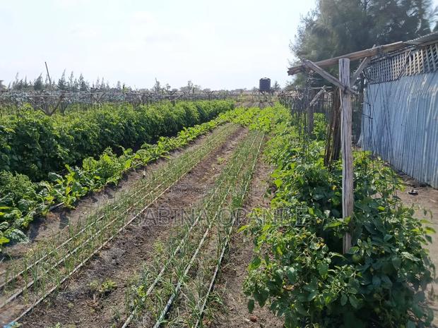 Plots for Sale in Kitengela Kajiado - thumbnail 5