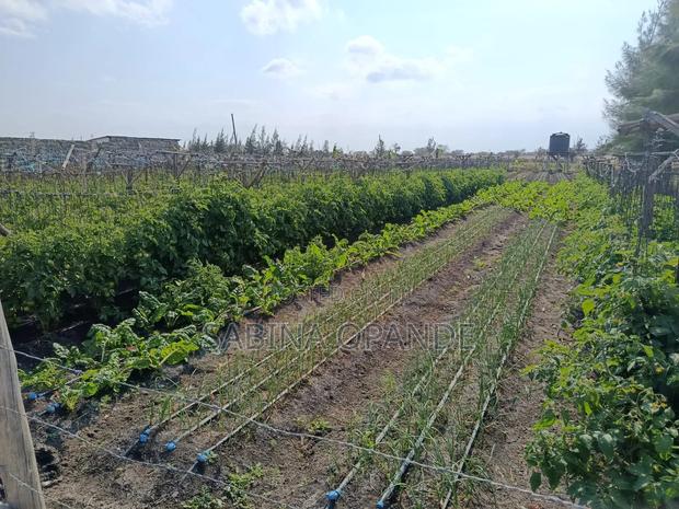 Plots for Sale in Kitengela Kajiado - thumbnail 6