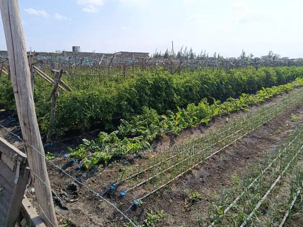 Plots for Sale in Kitengela Kajiado - thumbnail 7