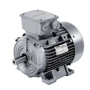 Heavy Duty Electric Motor Pump
