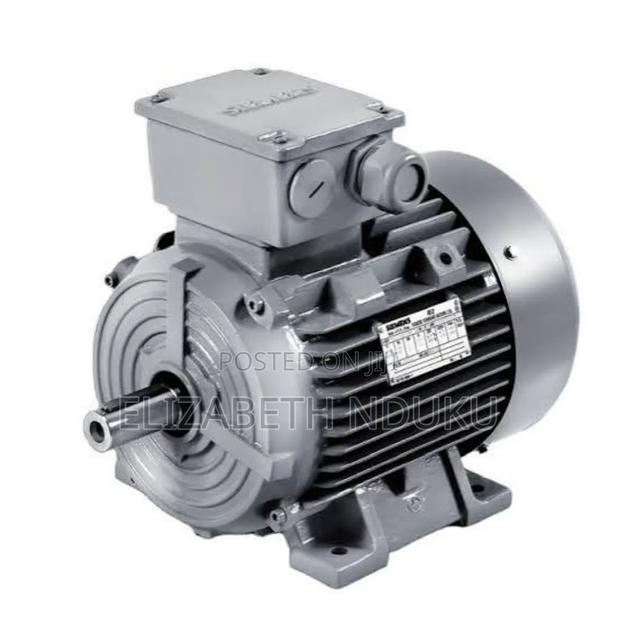 Heavy Duty Electric Motor Pump - main view