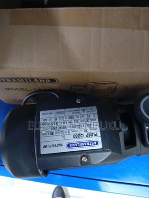 Electric Motor Pump Engine (Astramilano) - thumbnail 2