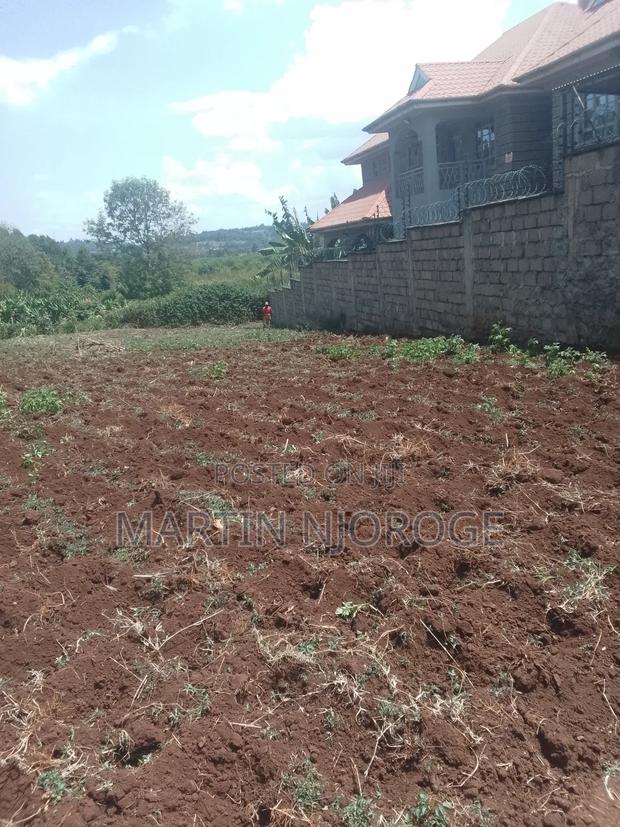 50 by 100 Kikuyu, Undiri - thumbnail 2