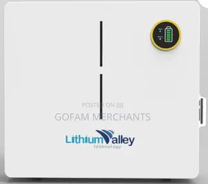 Lithium Valley 5.12kw 51.2v 100ah Lithium Ion Battery Lv-Bat-W5.12ac