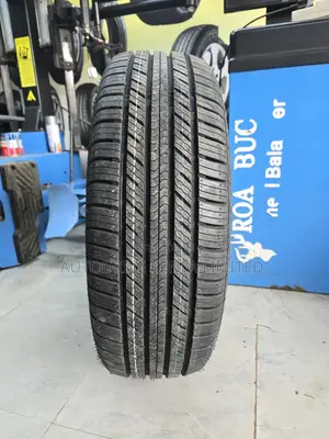 225/65r17 Double King Tire