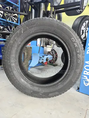 225/65r17 Double King Tire