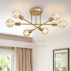 Cross-Border Ceiling Lamp Creative Multi-Head Living Room
