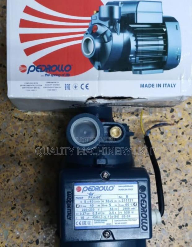 Long Lasting Booster Pump Pedrollo
