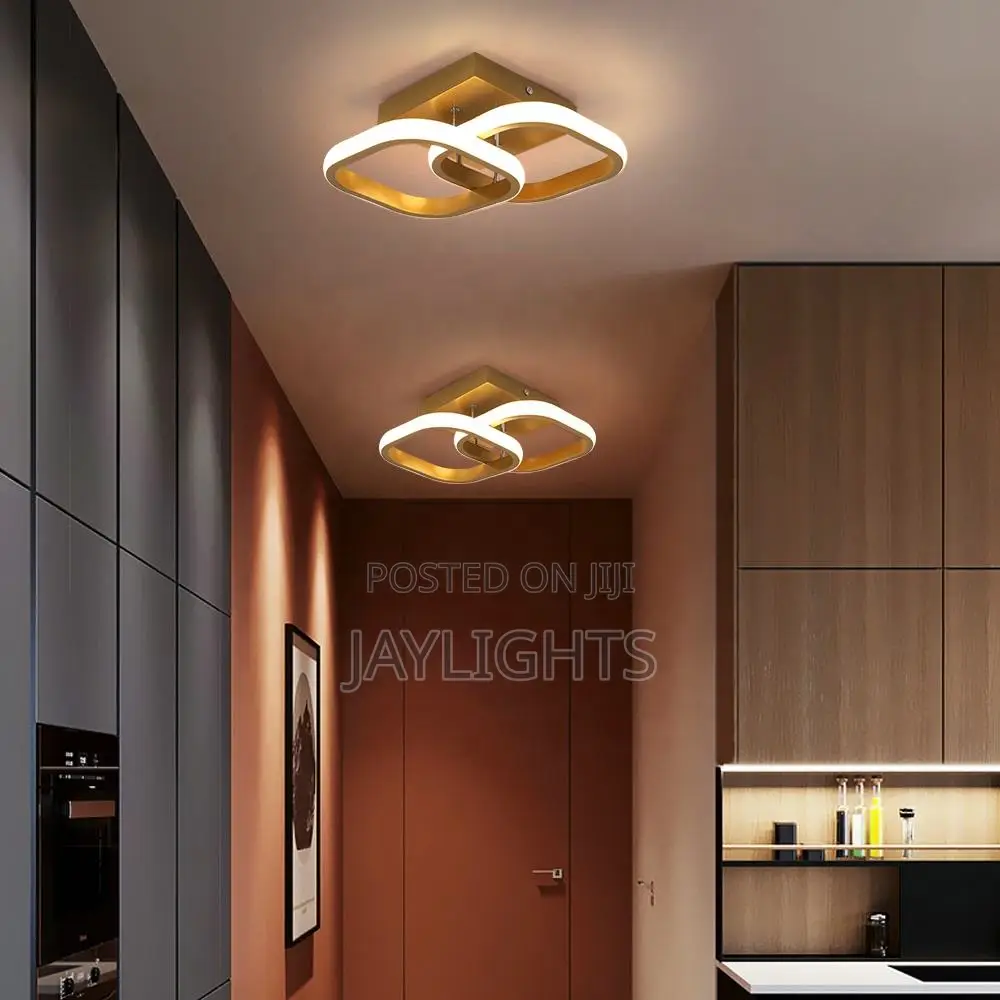 Modern Led Ceiling Lamps Fixtures Entrance Cloakroom