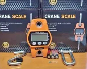 Heavy Duty Crane Scale
