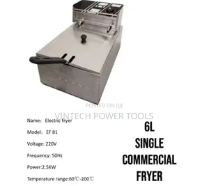 Commercial Chips Fryer