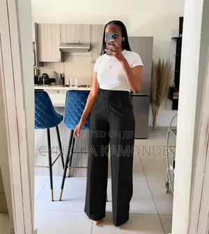 Official Zara Pants