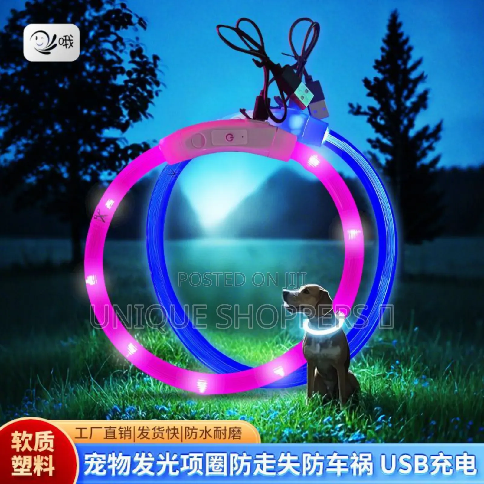 Rechargeable Light Up Pets Collars* Safety Rechargeable Led Dog Collar