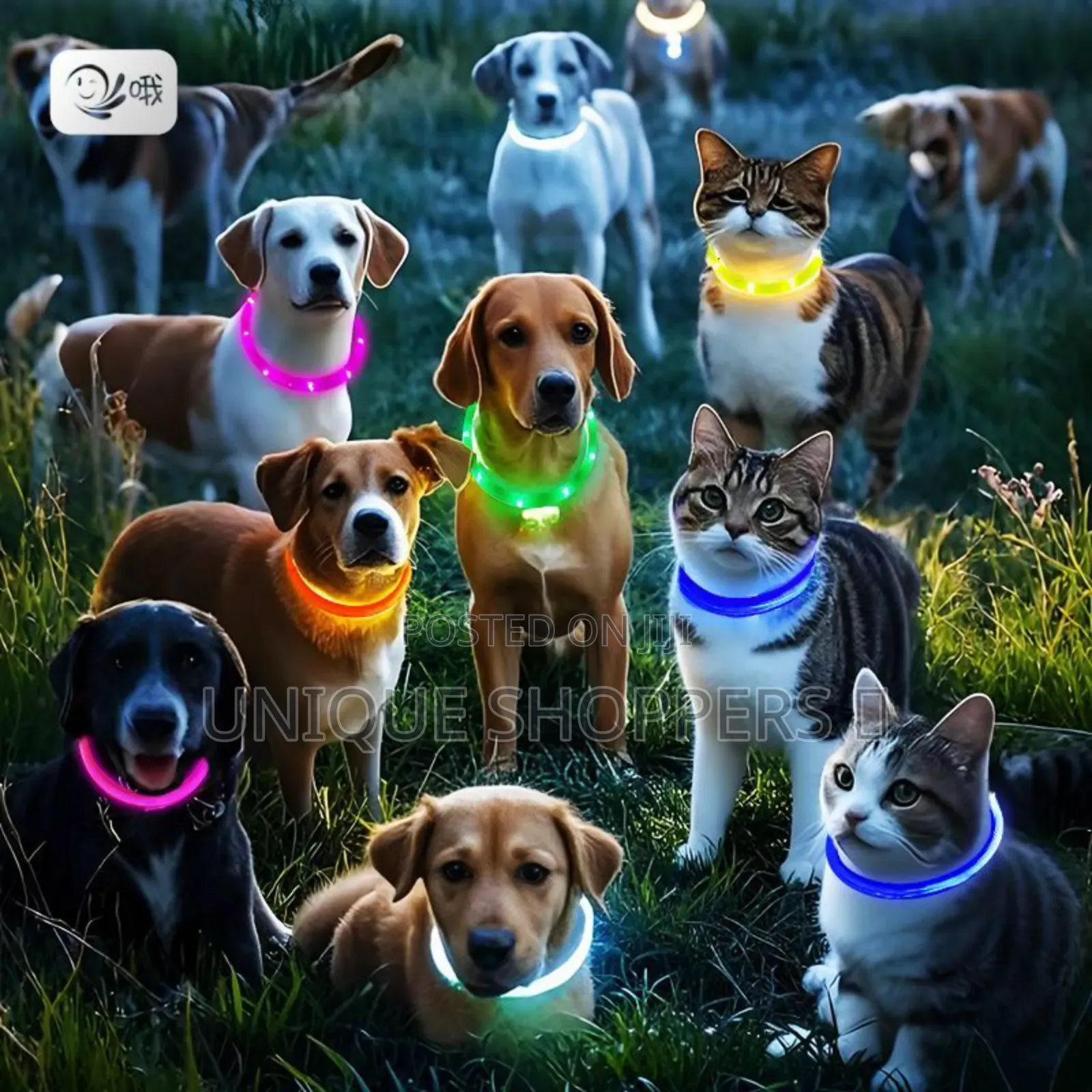 Rechargeable Light Up Pets Collars* Safety Rechargeable Led Dog Collar