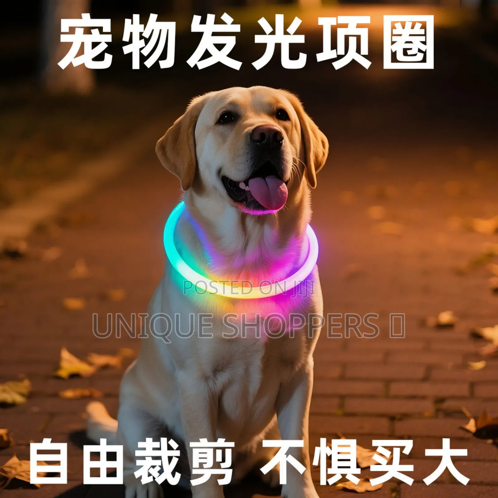 Rechargeable Light Up Pets Collars* Safety Rechargeable Led Dog Collar