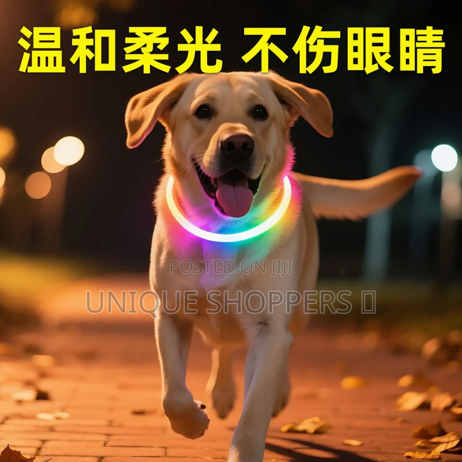 Rechargeable Light Up Pets Collars* Safety Rechargeable Led Dog Collar