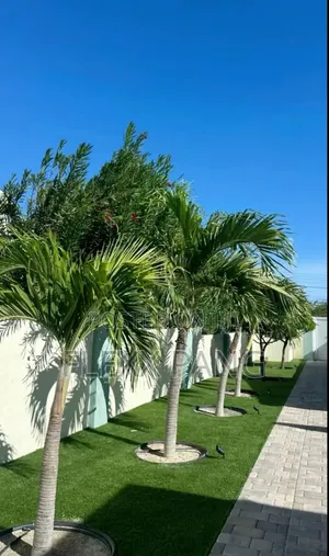Landscaping and Gardening Services