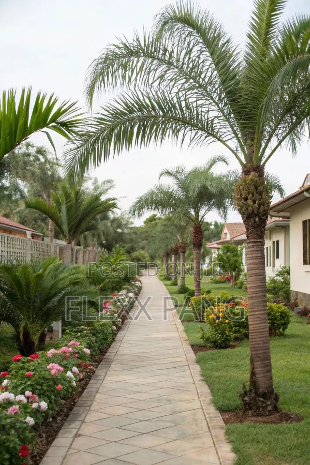 Landscaping and Gardening Services
