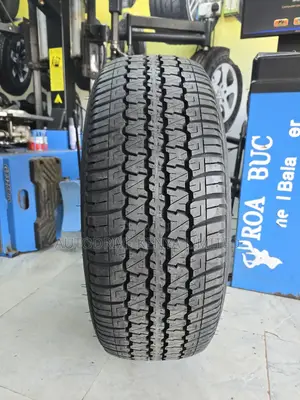 265/55r19 Dunlop Grandtrek Tire