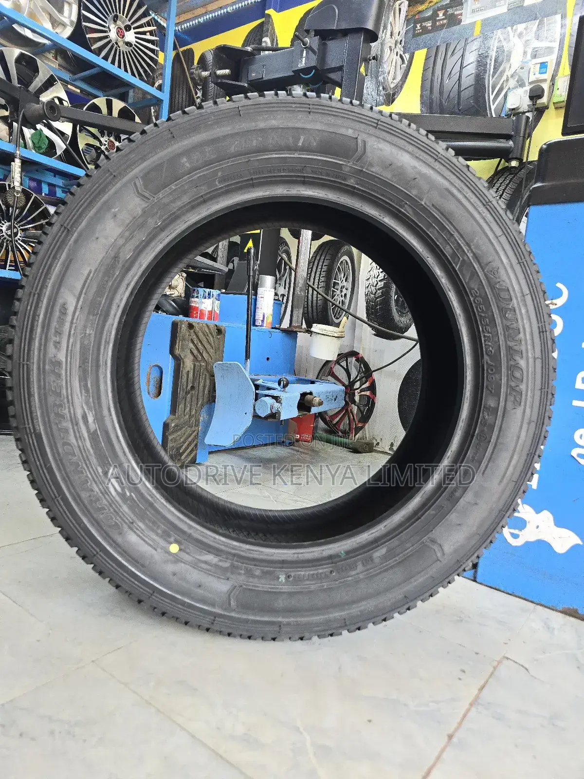 265/55r19 Dunlop Grandtrek Tire