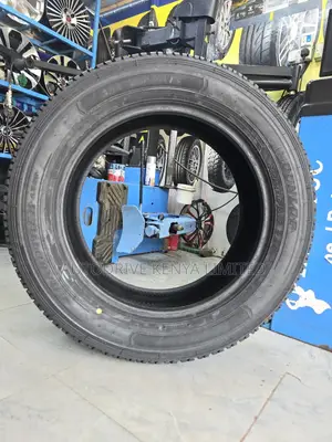 265/55r19 Dunlop Grandtrek Tire