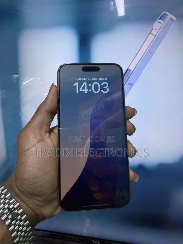 Apple iPhone 15 Pro Max 256 GB Silver - thumbnail 2