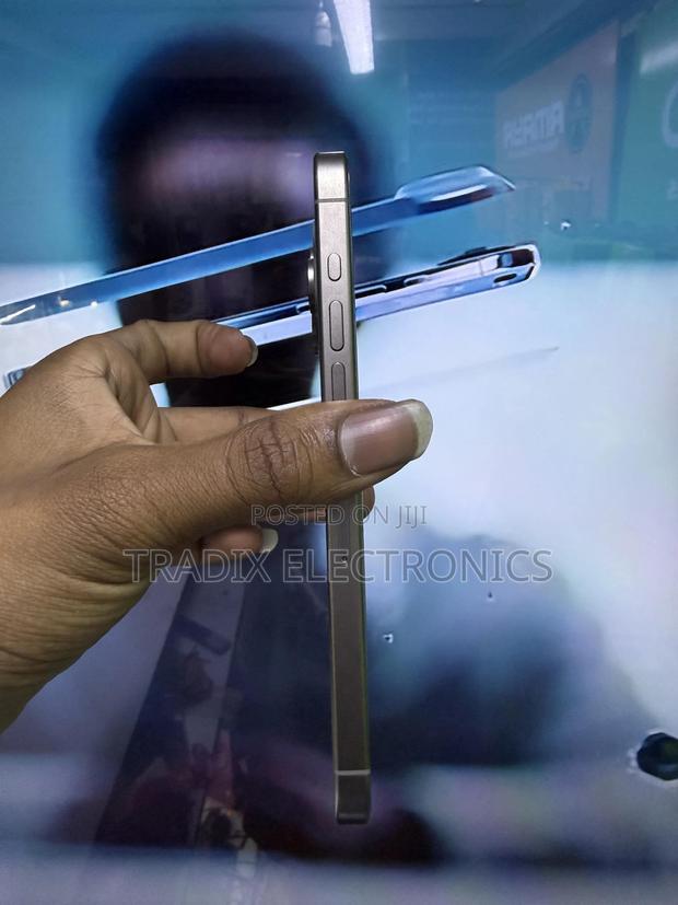 Apple iPhone 15 Pro Max 256 GB Silver - thumbnail 3