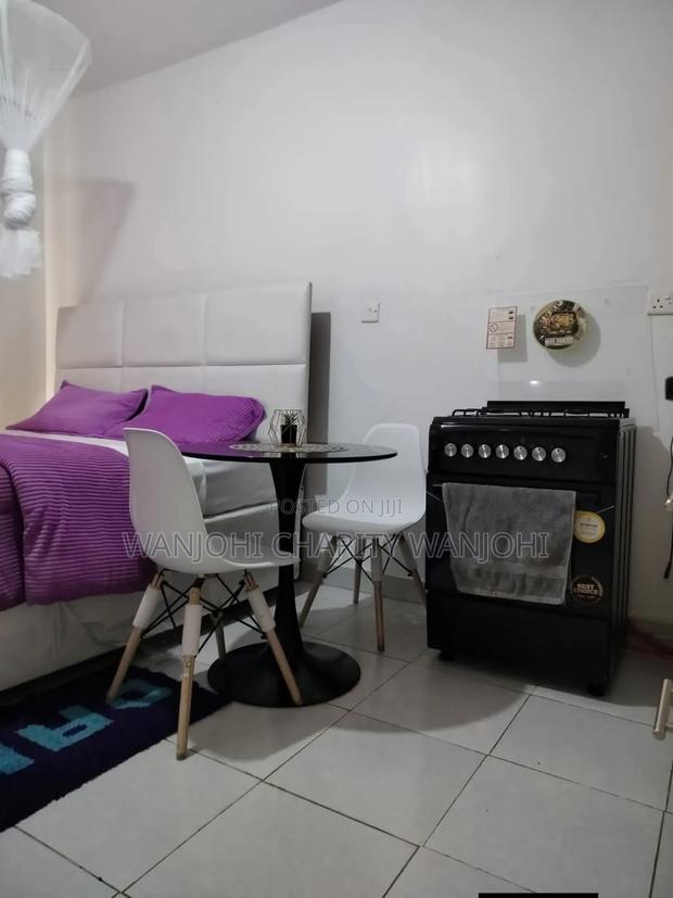 Very Spacious Studio Airbnb in South B - thumbnail 4