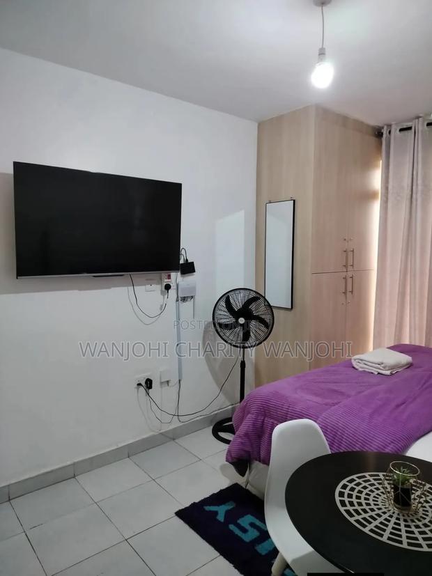 Very Spacious Studio Airbnb in South B - thumbnail 5