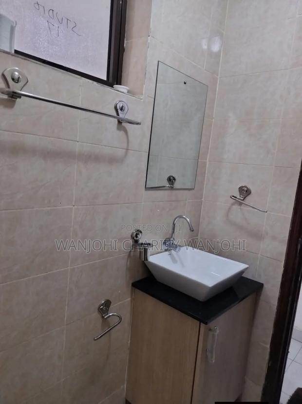 Very Spacious Studio Airbnb in South B - thumbnail 8