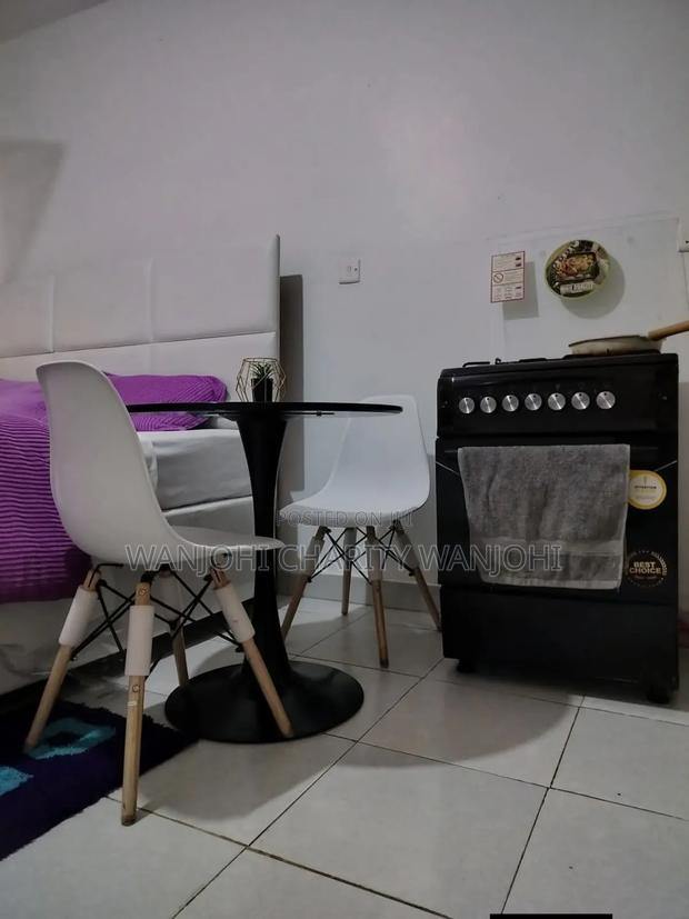 Very Spacious Studio Airbnb in South B - thumbnail 9