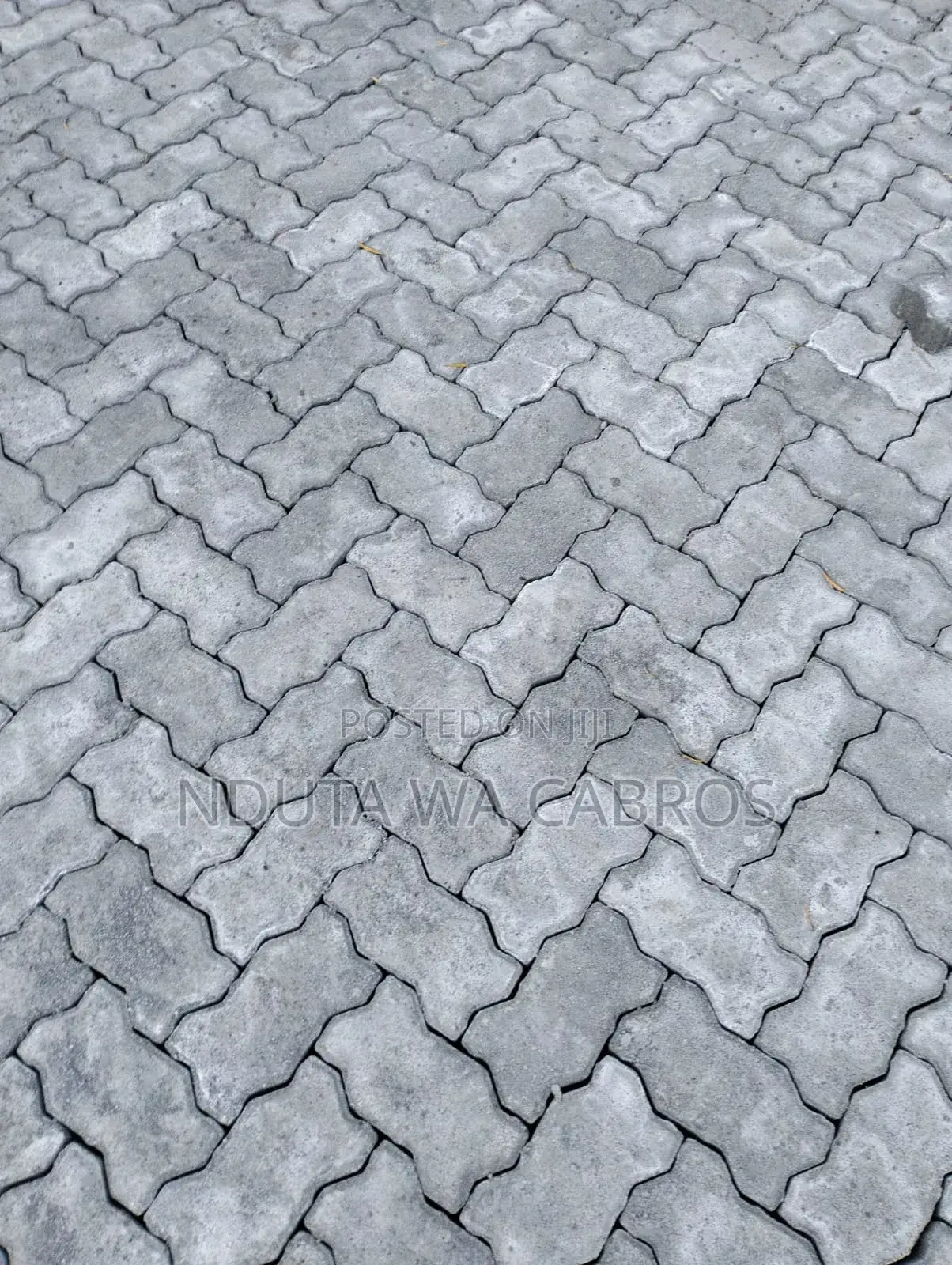 Paving Blocks (Cabros)
