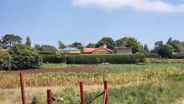 1/4 Acre Fronting Tarmack, Kerwa Nduma - thumbnail 5
