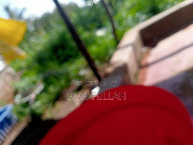 Mtondia Plots for Sale. - thumbnail 4