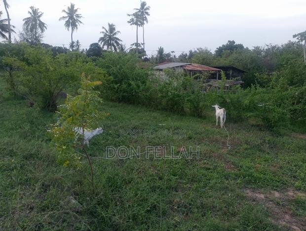 Mtondia Plots for Sale. - thumbnail 3