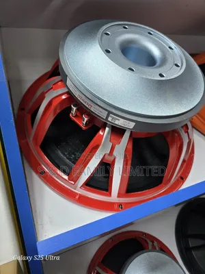 Derwel 1dbx125f Eighteen Inch Bass Speaker
