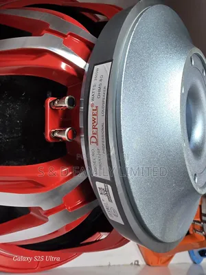 Derwel 1dbx125f Eighteen Inch Bass Speaker
