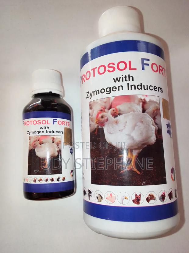 Chicken Supplements - main view