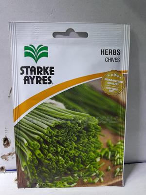 Chives Herb Seeds 1.8 Grams - thumbnail 2